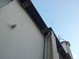 fkillineybeforeexternal 1500.jpg
